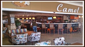 Camel Cafe